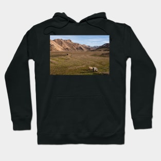 The Residents of Landmannalaugar Hoodie